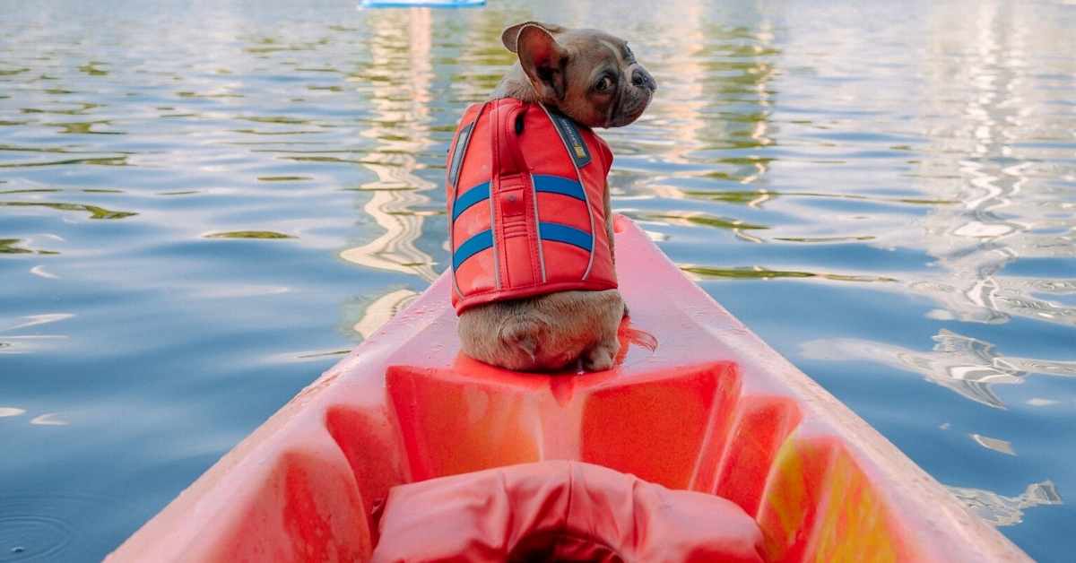 Best Inflatable Kayaks For Dogs