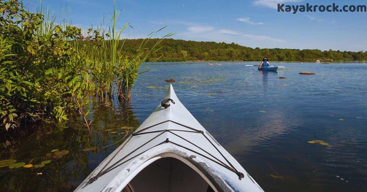 tracking kayak trip