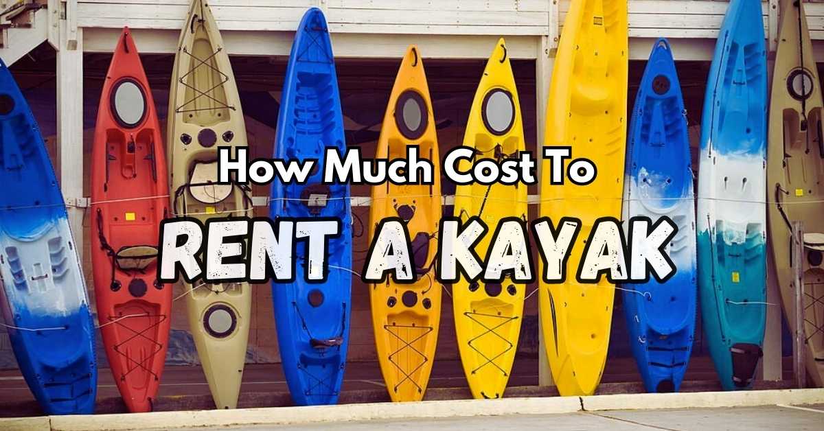 How Much Does It Cost To Rent A Kayak