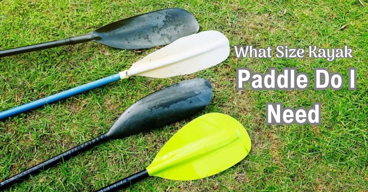 What Size Kayak Paddle Do I Need (Complete Guide 2023)