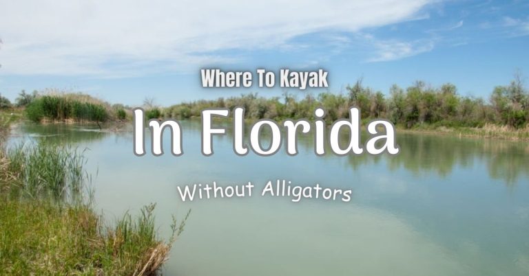 Where To Kayak In Florida Without Alligators