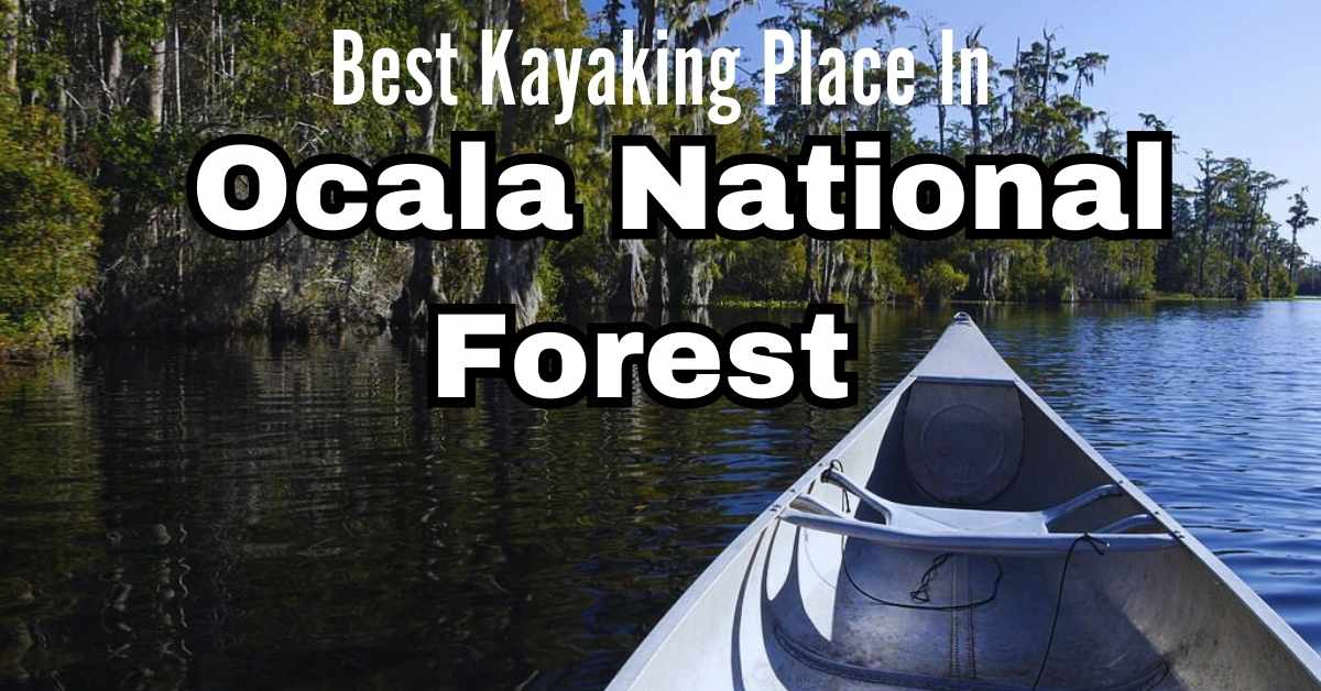 Best Kayaking Place in Ocala National Forest