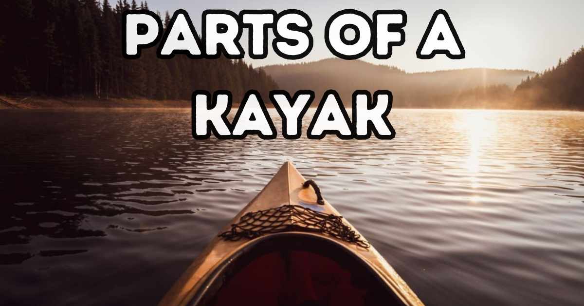Parts Of A Kayak (Complete Guide 2023)
