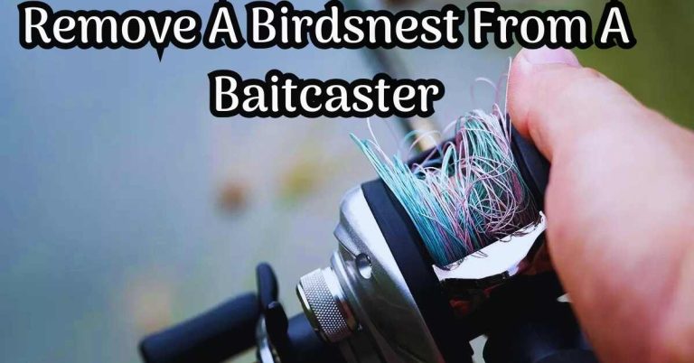 Remove a Birdsnest from a Baitcaster